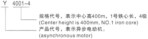 西安泰富西玛Y系列(H355-1000)高压YE2-280M-4三相异步电机型号说明